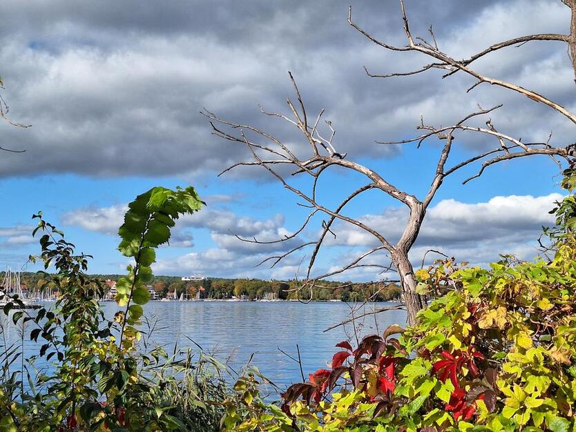 Ideal für große Wohngemeinschaften! *Ein Katzensprung nach Potsdam* zimmer