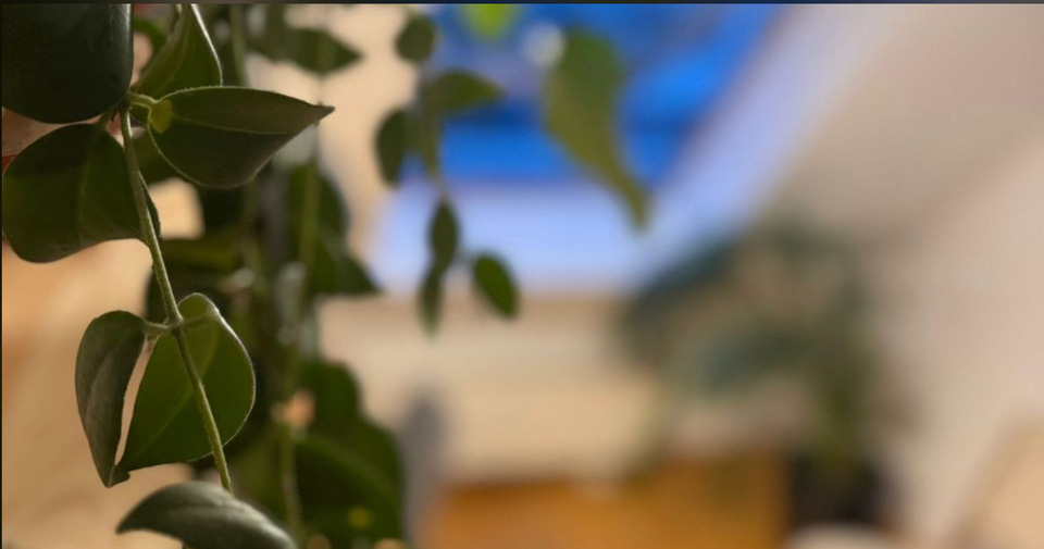 Dachgeschoßwohnung Berlin Pankow - 3 Zimmer, 58 m&sup2;, 1.400&euro; | Angebot:25898715