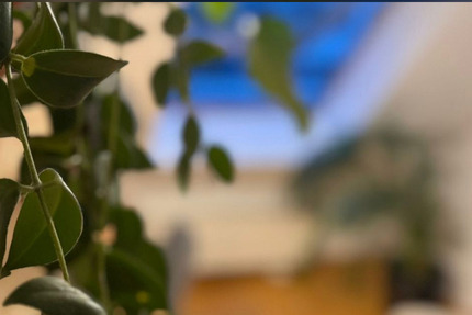 Wohnung Berlin Pankow - 3 Zimmer, 58 m&sup2;, 1.400&euro; | Angebot:25898715