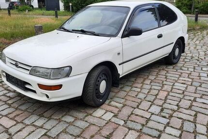 Toyota Corolla 300.323 km 6.000 &euro; Königs Wusterhausen 15537
