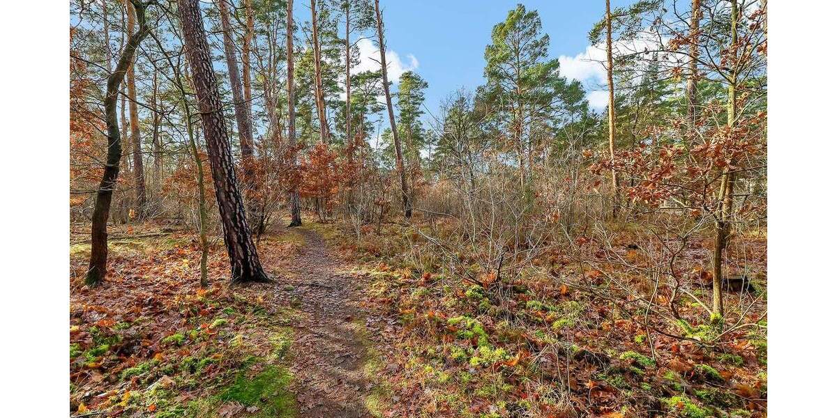 Einfamilienhaus Berlin Müggelheim - 277.000&euro; | Angebot:25769026