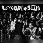 Toxoplasma + Rawside + Die Schwarzen Schafe + Frontalangriff