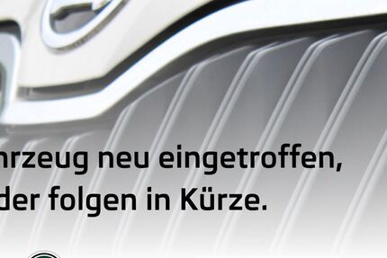Skoda Kamiq 2.612 km 27.990 &euro; Schulzendorf 15732