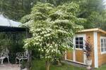 Einfamilienhaus Potsdam Groß Glienicke - 4 Zimmer, 130 m&sup2;, 2.300&euro; | Angebot:26920215