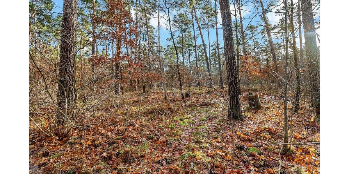 Einfamilienhaus Berlin Müggelheim - 277.000&euro; | Angebot:25769026