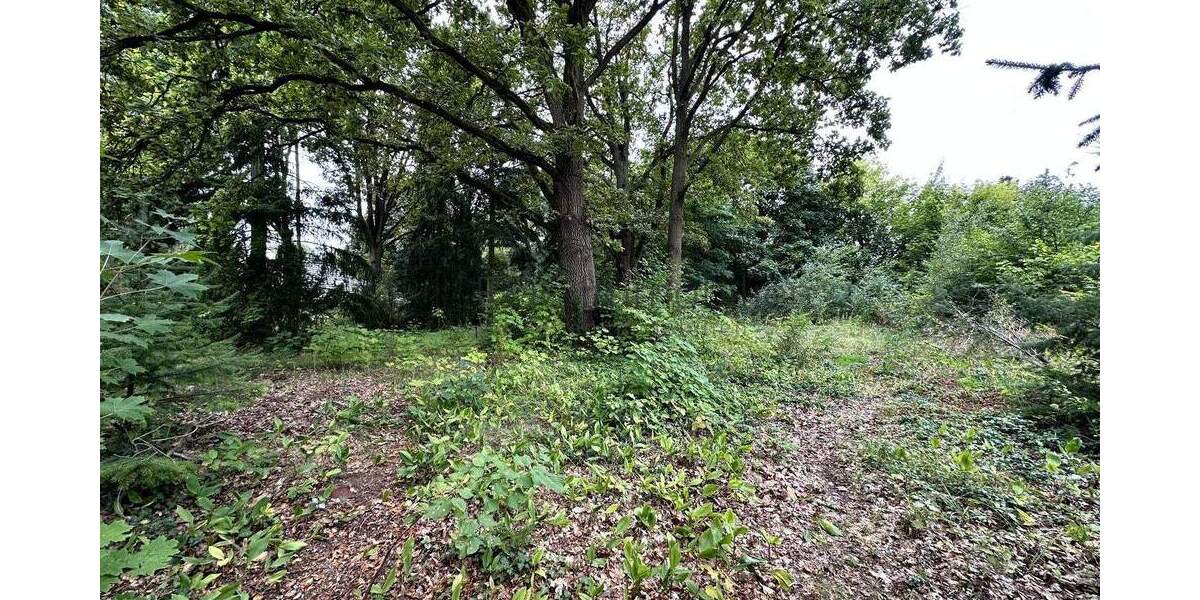 Grundstück Zeuthen - 619.000&euro; | Angebot:25778396