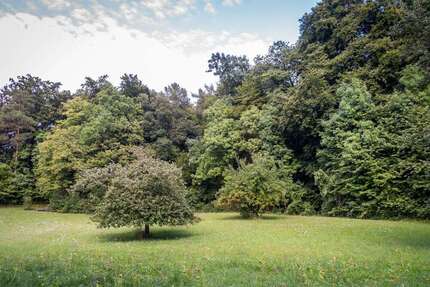 Grundstück Wandlitz - 240.000&euro; | Angebot:26364387
