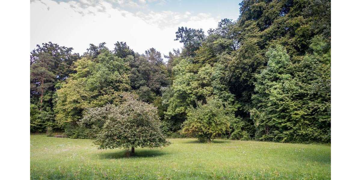 Grundstück Wandlitz - 240.000&euro; | Angebot:26364387