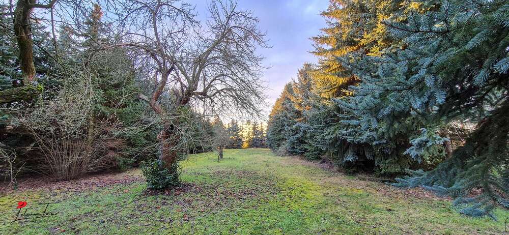 Wohn- & Gewerbeensemble mit Entwicklungspotenzial – Ihre Kapitalanlage mit Flughafennähe 11 zimmer