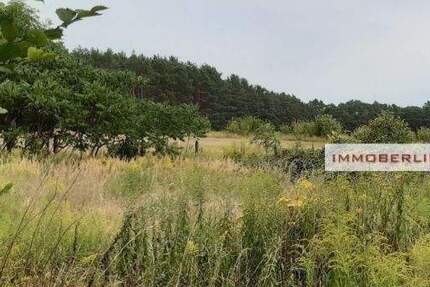 Grundstück Königs Wusterhausen Zernsdorf - 390.000&euro; | Angebot:24874439