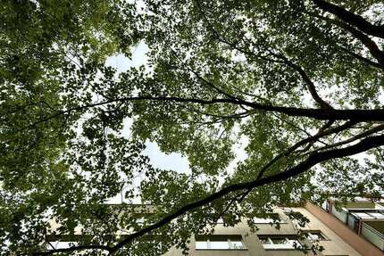Wohnung zum Mieten in Berlin 690 € 24 m²