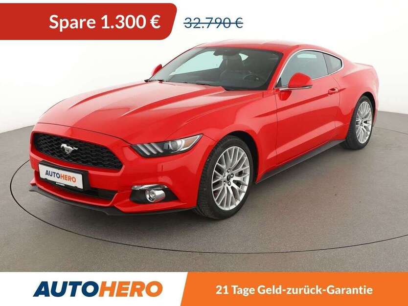 Mustang