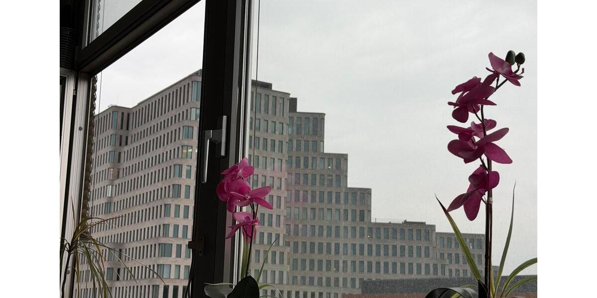 Gewerbeobjekt Berlin Steglitz-Zehlendorf - 28&euro; | Angebot:26182687