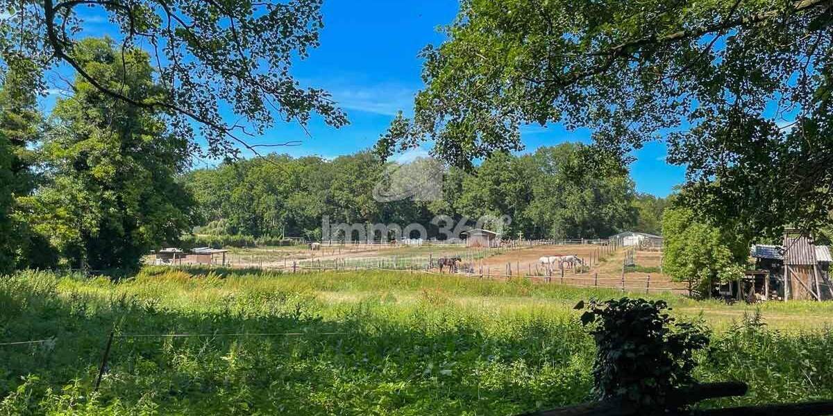 Mehrfamilienhaus, Wohnhaus Potsdam Groß Glienicke - 7 Zimmer, 228 m&sup2;, 790.000&euro; | Angebot:24885067