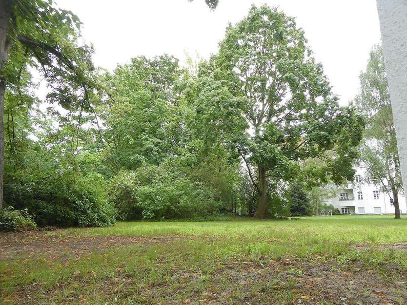 Wohnung zum Mieten in Berlin 1.008 € 88.48 m²