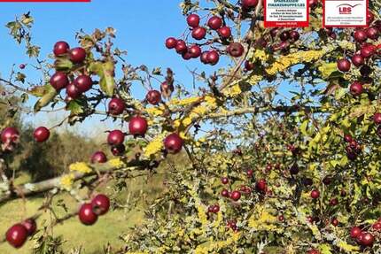 Grundstück Berlin Mahlsdorf - 207.000&euro; | Angebot:24450244