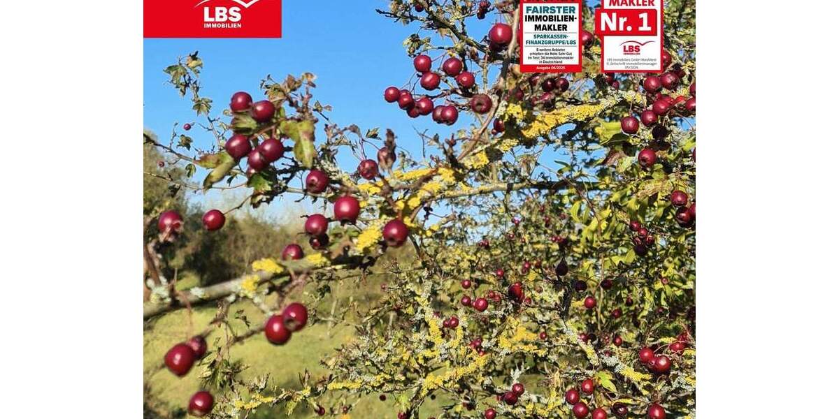 Grundstück Berlin Mahlsdorf - 207.000&euro; | Angebot:24450244