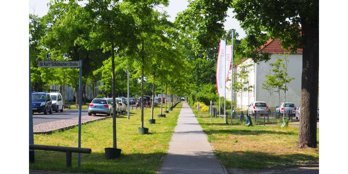 Wohnung zum Mieten in Oranienburg 385 € 55 m² 2 zimmer