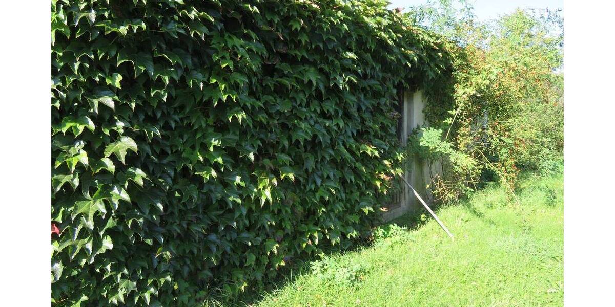 Grundstück Rangsdorf - 195.000&euro; | Angebot:26015632