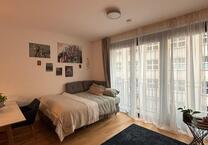 1-Zimmer Wohnung Berlin Mitte (TOP LAGE)