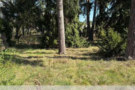 Grundstück Petershagen/Eggersdorf Eggersdorf - 250.000&euro; | Angebot:25613244