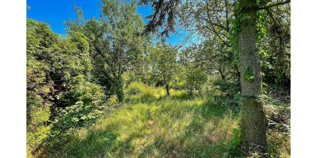 Wassergrundstück! Idyllisches Anwesen direkt am Haussee zimmer