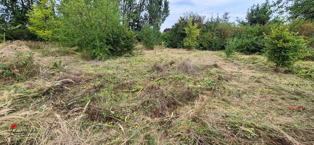 Bauträgerfreies Eckgrundstück in Schönefeld - Anlageobjekt Schönefeld | Angebot:24730652