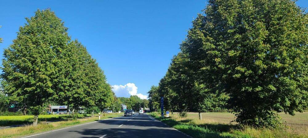 EFH im Grünen mit Anschluss an Berlin: EFH+2.400qm Grundstück in 16515 OranienburgOT Wensickendorf