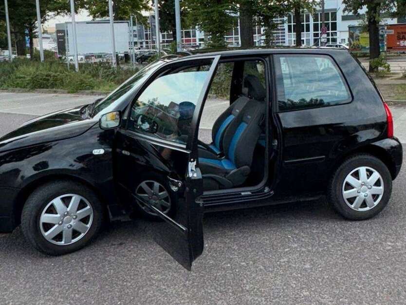 Lupo