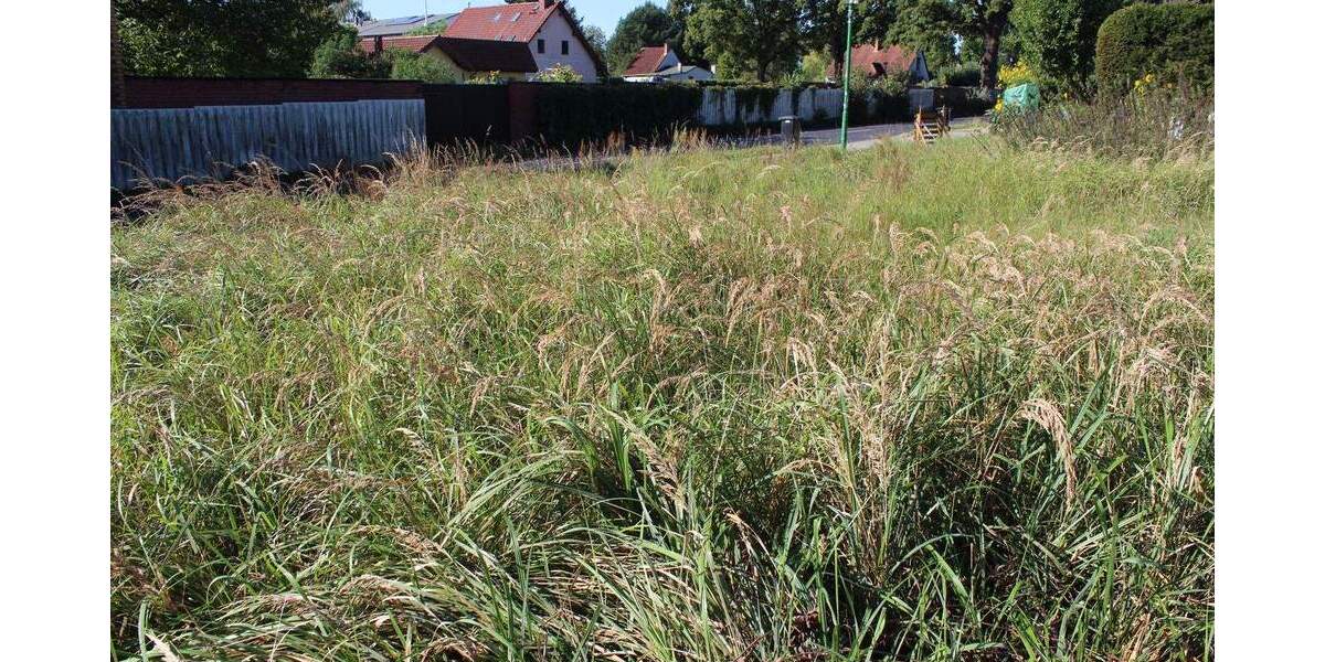 Grundstück Mühlenbecker Land Schönfließ - 199.000&euro; | Angebot:25739761