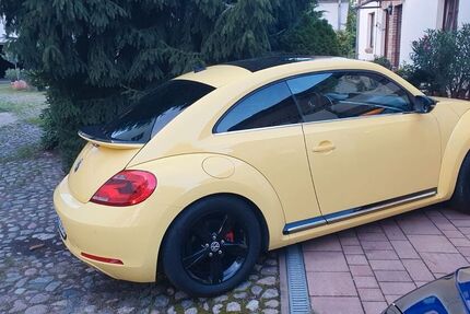 VW Beetle