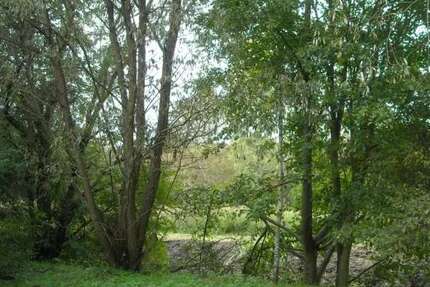 Wohnung zum Kaufen in Falkensee 299.000 € 86.9 m² 3 zimmer