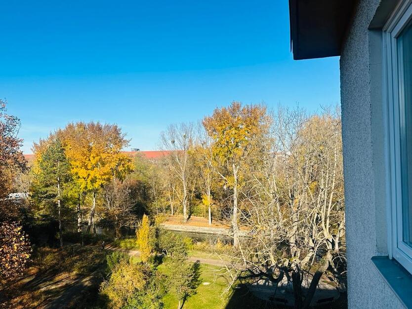 KANALBLICK 37m2 letzte Etage mit Balkon zimmer