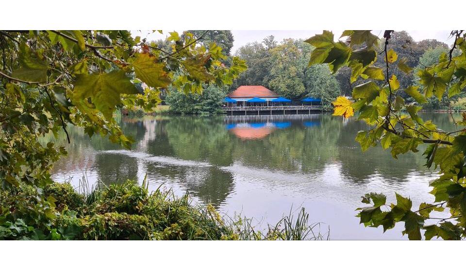 Blick auf den Lietzenseepark: AltbauWohnung mit Fahrstuhl