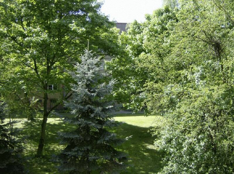 Etagenwohnung Berlin Friedrichsfelde - 1 Zimmer, 48 m&sup2;, 783&euro; | Angebot:25796254