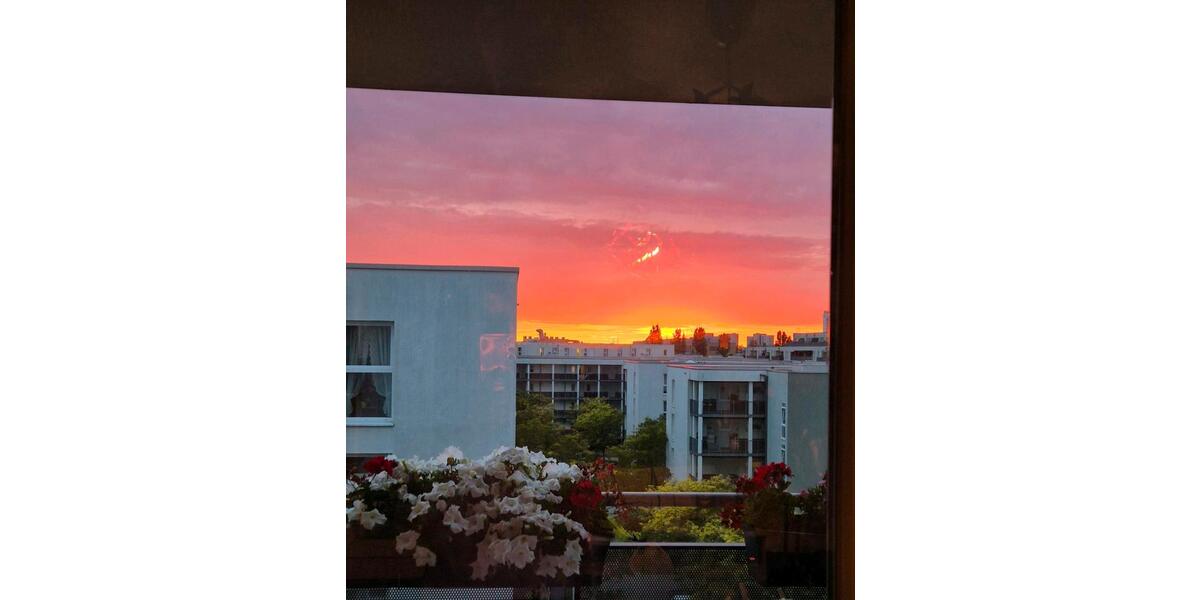 Etagenwohnung Potsdam Südliche Innenstadt - 2 Zimmer, 42 m&sup2;, 1.000&euro; | Angebot:25839411