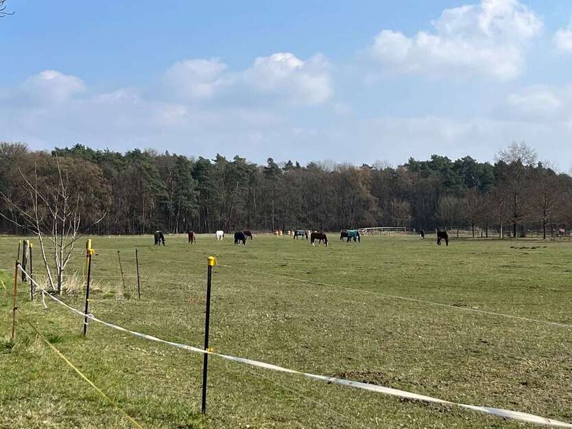 Leerstehendes Reihenendhaus: 100m² groß + ruhig im Grünen gelegen, Falkensee, nahe Potsdam + Berlin 4 zimmer