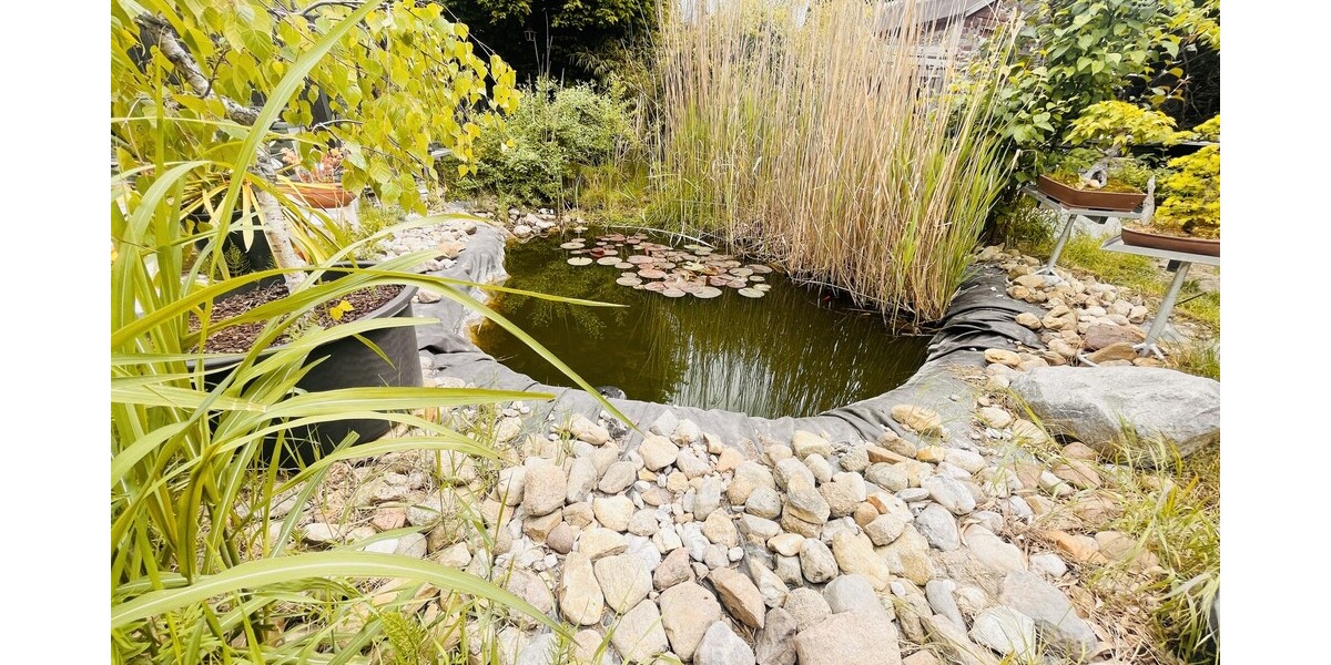 Einfamilienhaus - Berlin - Bohnsdorf auf Erbpachtgrundstück mit Garage in Top - zentraler - Lage! - Einfamilienhaus Berlin / Bohnsdorf Bohnsdorf | Angebot:26113128