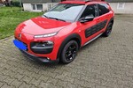 C4 Cactus