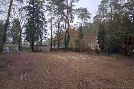 Grundstück Zühlsdorf Zühlsdorf - 300.000&euro; | Angebot:25820883