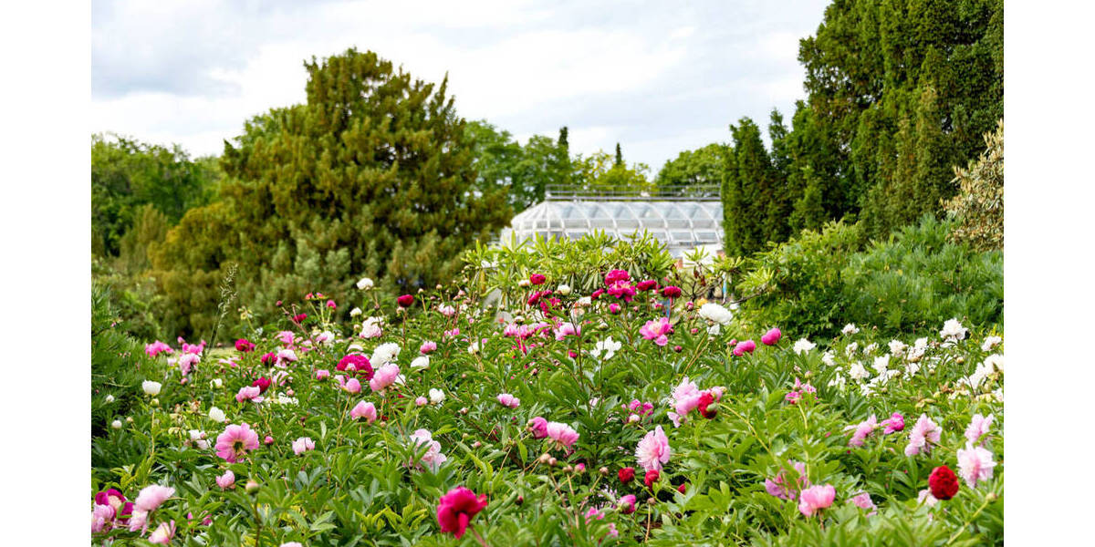 Etagenwohnung Berlin Lichterfelde - 3 Zimmer, 89 m&sup2;, 375.000&euro; | Angebot:25756240