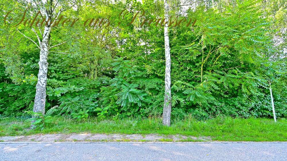 Grundstück Schönow Schönow - 460.000&euro; | Angebot:5882134
