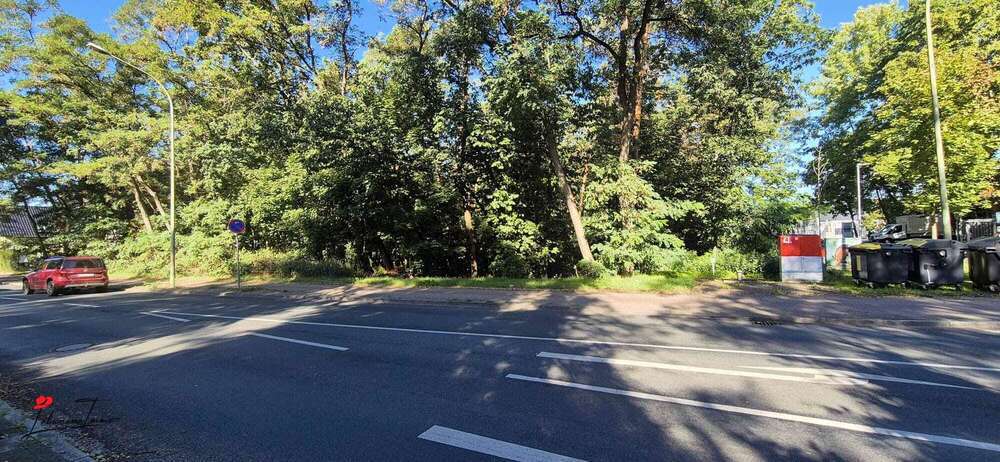 Grundstück mit Zukunftsperspektive – ca. 4.915 m² Waldfläche in Nuthetal zimmer