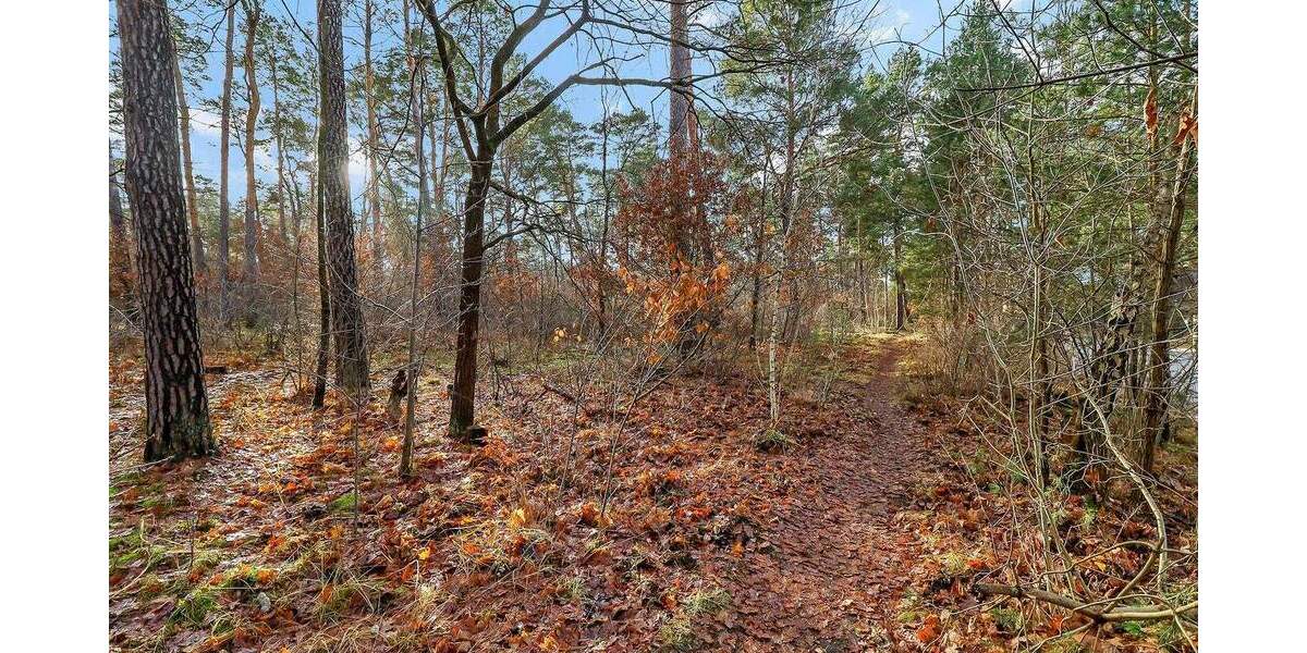 Einfamilienhaus Berlin Müggelheim - 277.000&euro; | Angebot:25769026