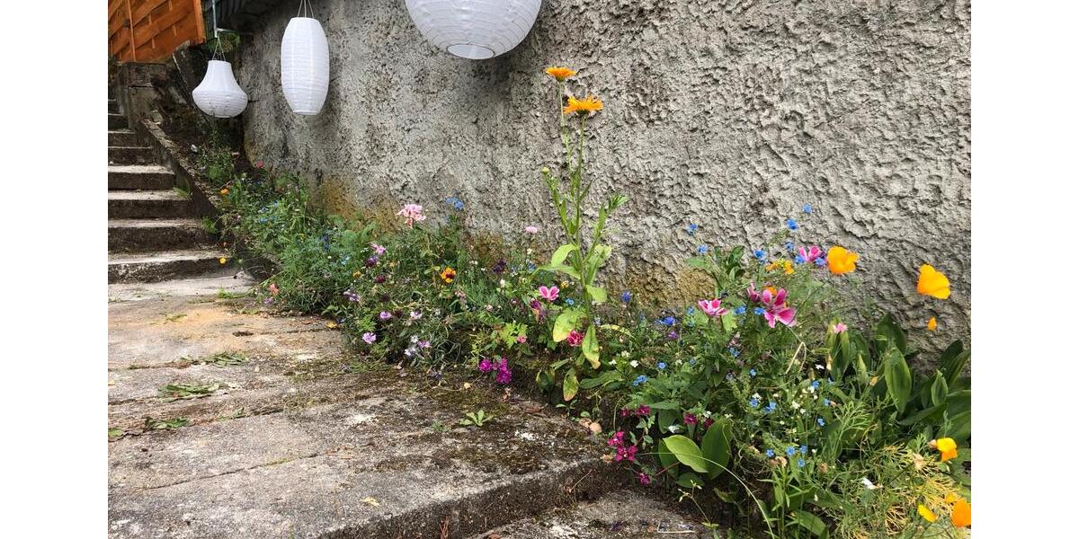 Bungalow Berlin Friedrichshain-Kreuzberg - 2 Zimmer, 30 m&sup2;, 47.000&euro; | Angebot:26133728