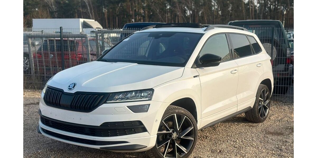 Skoda Karoq 169.353 km 17.500 &euro; Mittenwalde 15749