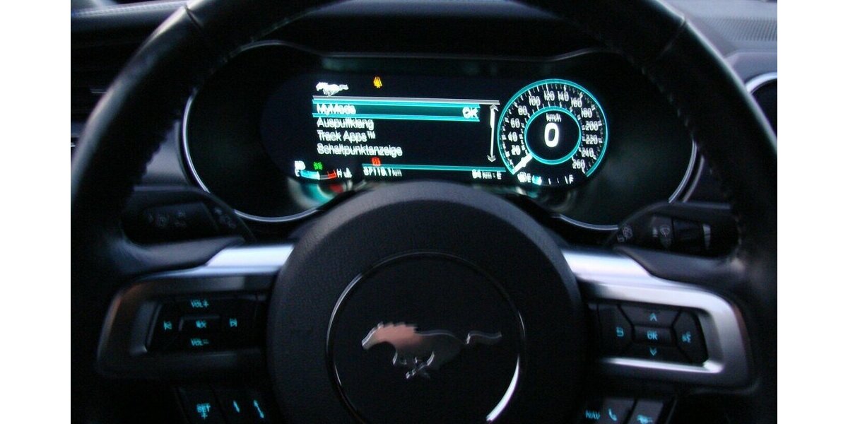 Ford Mustang GT 5.0 V8 Fastback SVT Performance Deutsch 37.112 km 36.980 &euro; Falkensee 14612