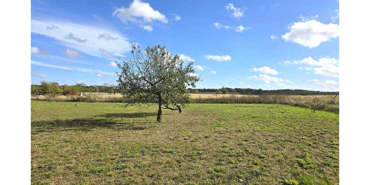 Großes Grundstück in ruhige Lage - Ideal für Pferde und Gemüseanbau zimmer