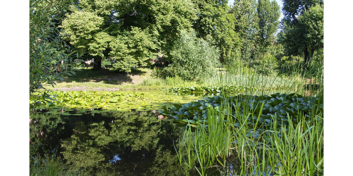 Etagenwohnung Berlin Weißensee - 2 Zimmer, 64 m&sup2;, 299.000&euro; | Angebot:25990136