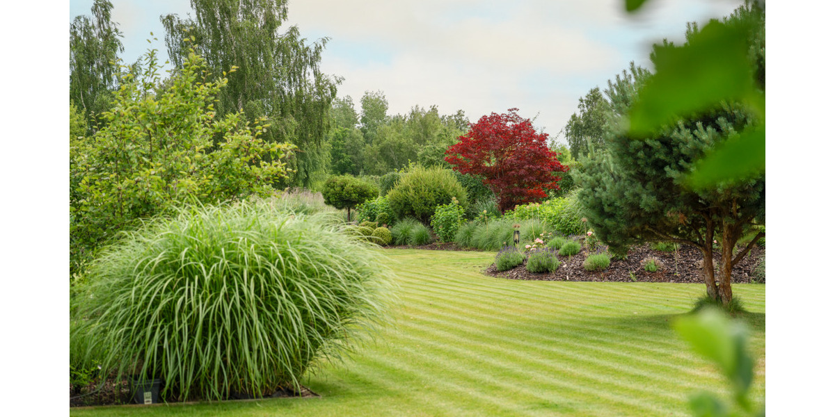 Einfamilienhaus Potsdam Bornim - 4 Zimmer, 145 m&sup2;, 1.480.000&euro; | Angebot:25822653